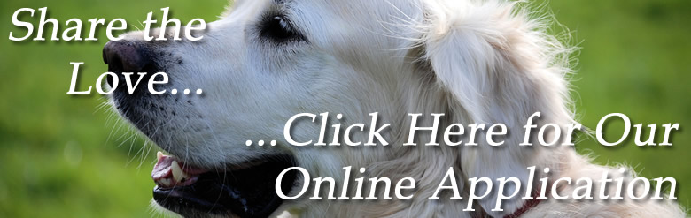 Shelbyville-Bedford County Humane Association – (931)684-KIND (5463)